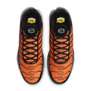 Nike Air Max Plus Desert Sunset