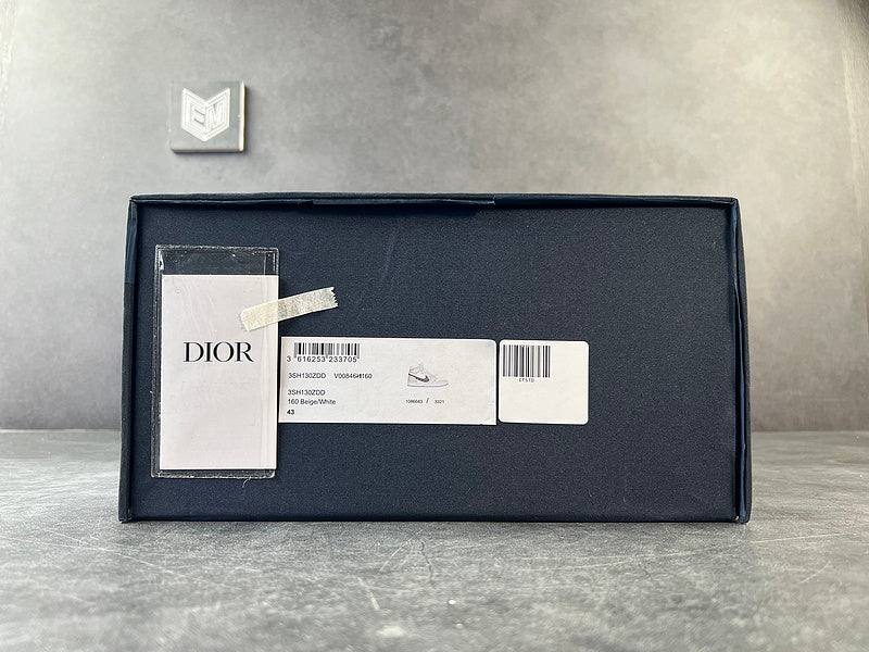 DIOR x Jordan AJ 1 - DRIP DOS ARTISTAS 