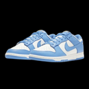 Nike Dunk Low Coast